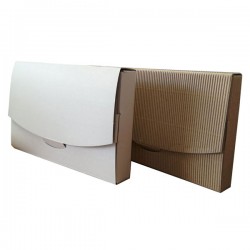 Χαρτοκιβώτιο 25x16x3,5 DIECUT Οντουλέ